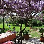 Otium Bed & Breakfast 3*