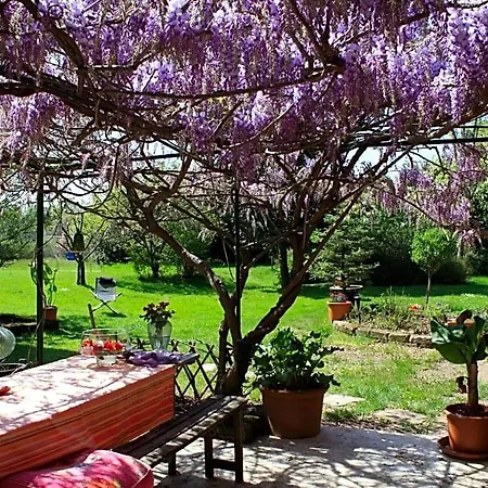Otium Cavallirio