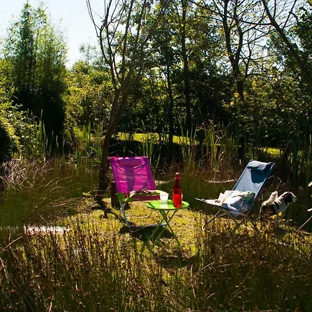 Otium Bed & Breakfast *