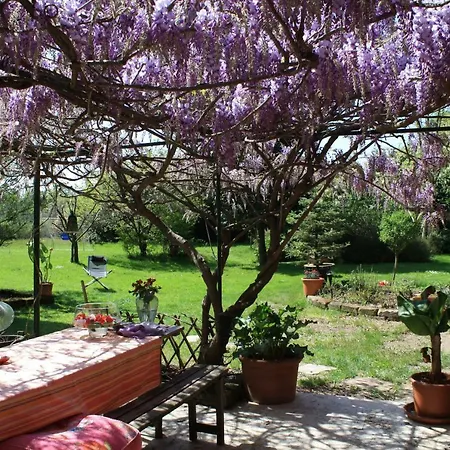 Otium Bed & Breakfast *