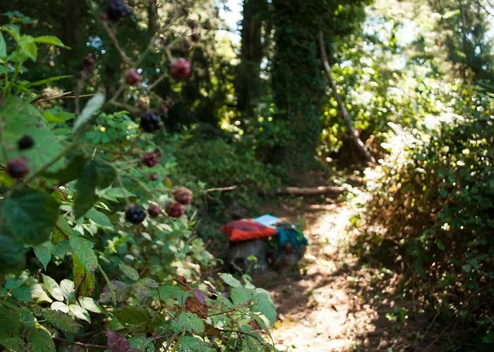 Otium فندق مبيت وإفطار